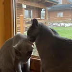 Zagroda Z Bala Z Basenem & Sauna & Balia Z Hydromasazem *
