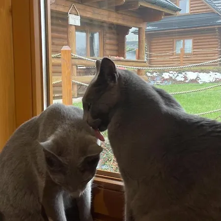 Zagroda Z Bala Z Basenem & Sauna & Balia Z Hydromasazem *